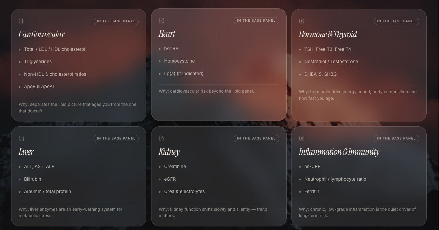 Biolume Test Directory screenshot